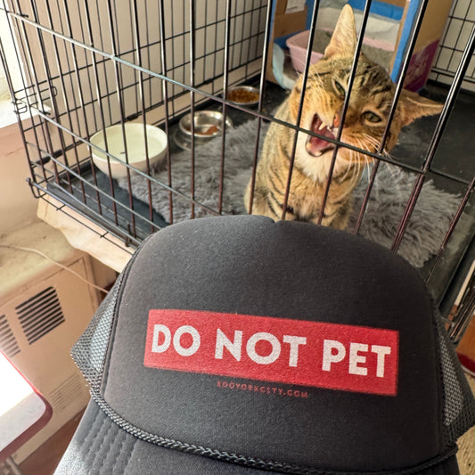 Cat in a cage with a 'Do Not Pet' trucker hat
