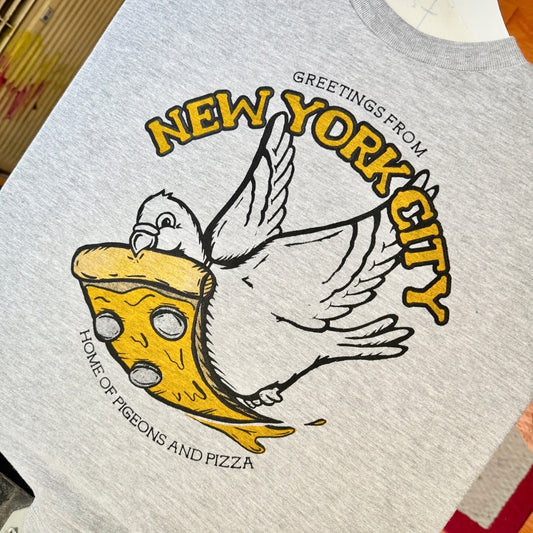 Pigeons & Pizza New York City